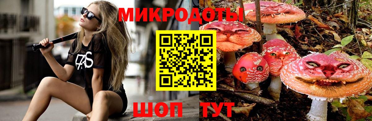 Псилоцибиновые грибы Cubensis Кировск