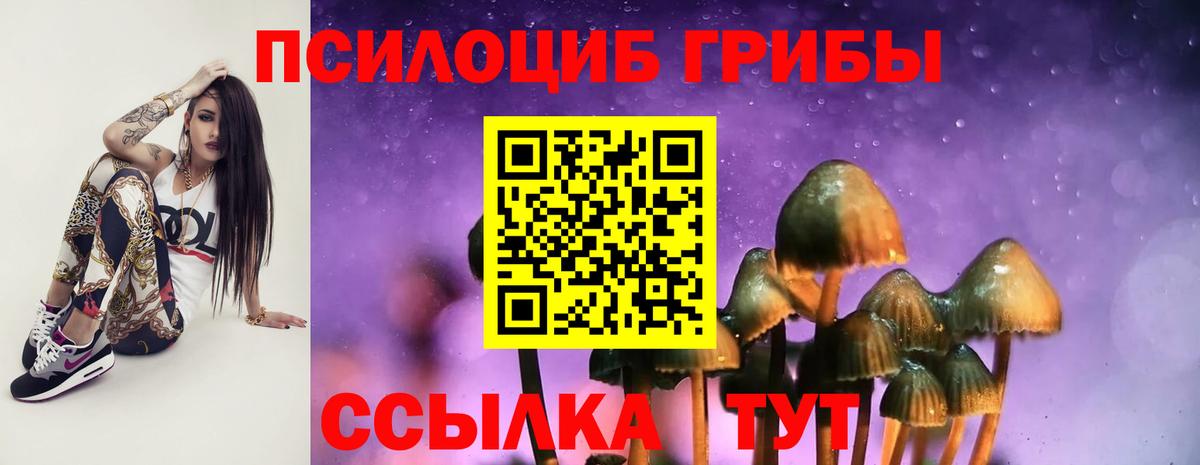 Кировск  Псилоцибиновые грибы мицелий  Вход с VPN  Галлюциногенные грибы GOLDEN TEACHER 